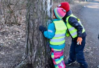 Two boys are studying the pattern of the bark.